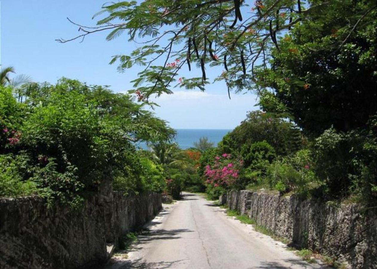 Buttonwood Reserve By Eleuthera Vacation Rentals Governor’s Harbour Bagian luar foto